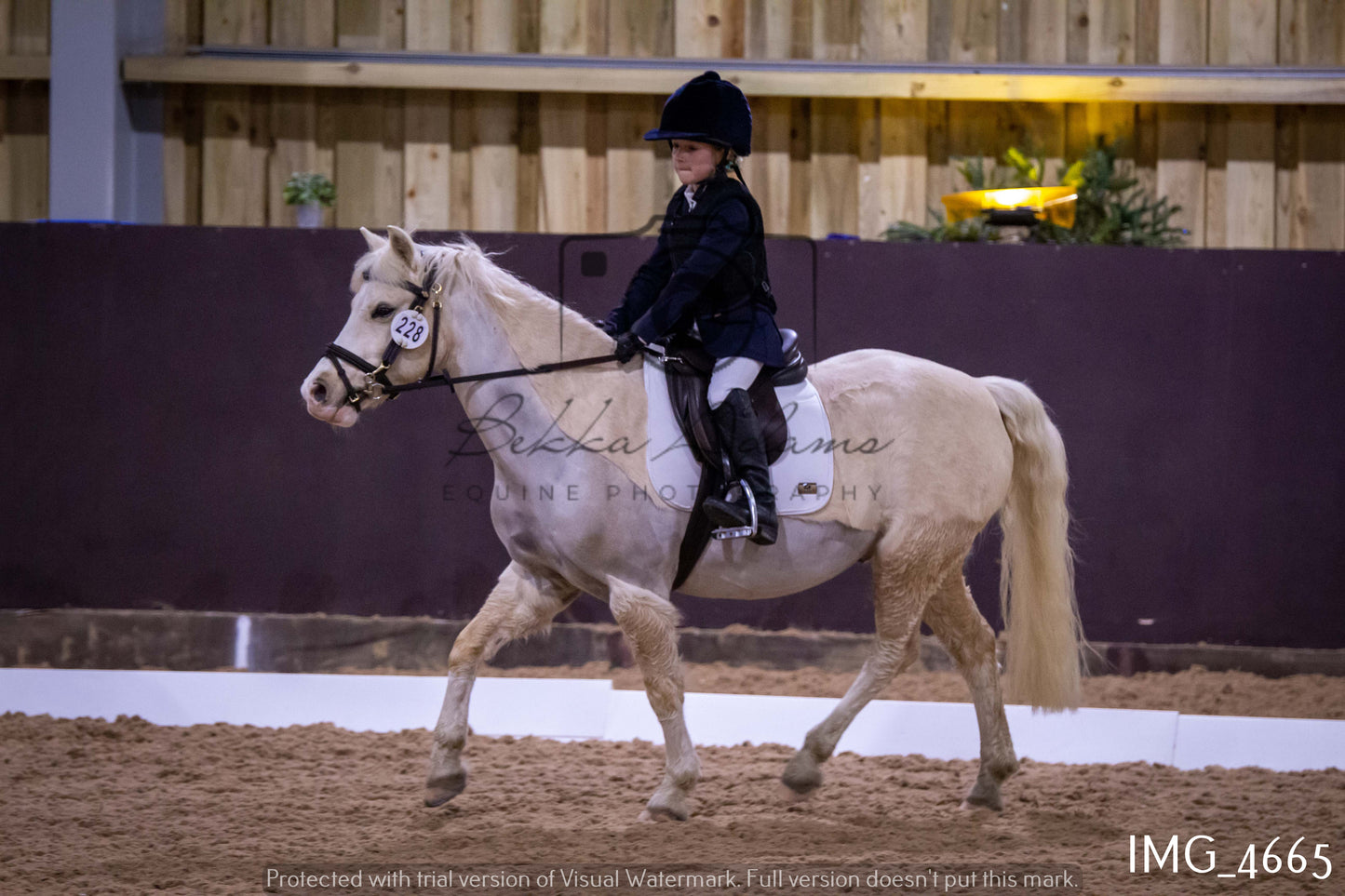 Home Farm Dressage 12th March - Juniors