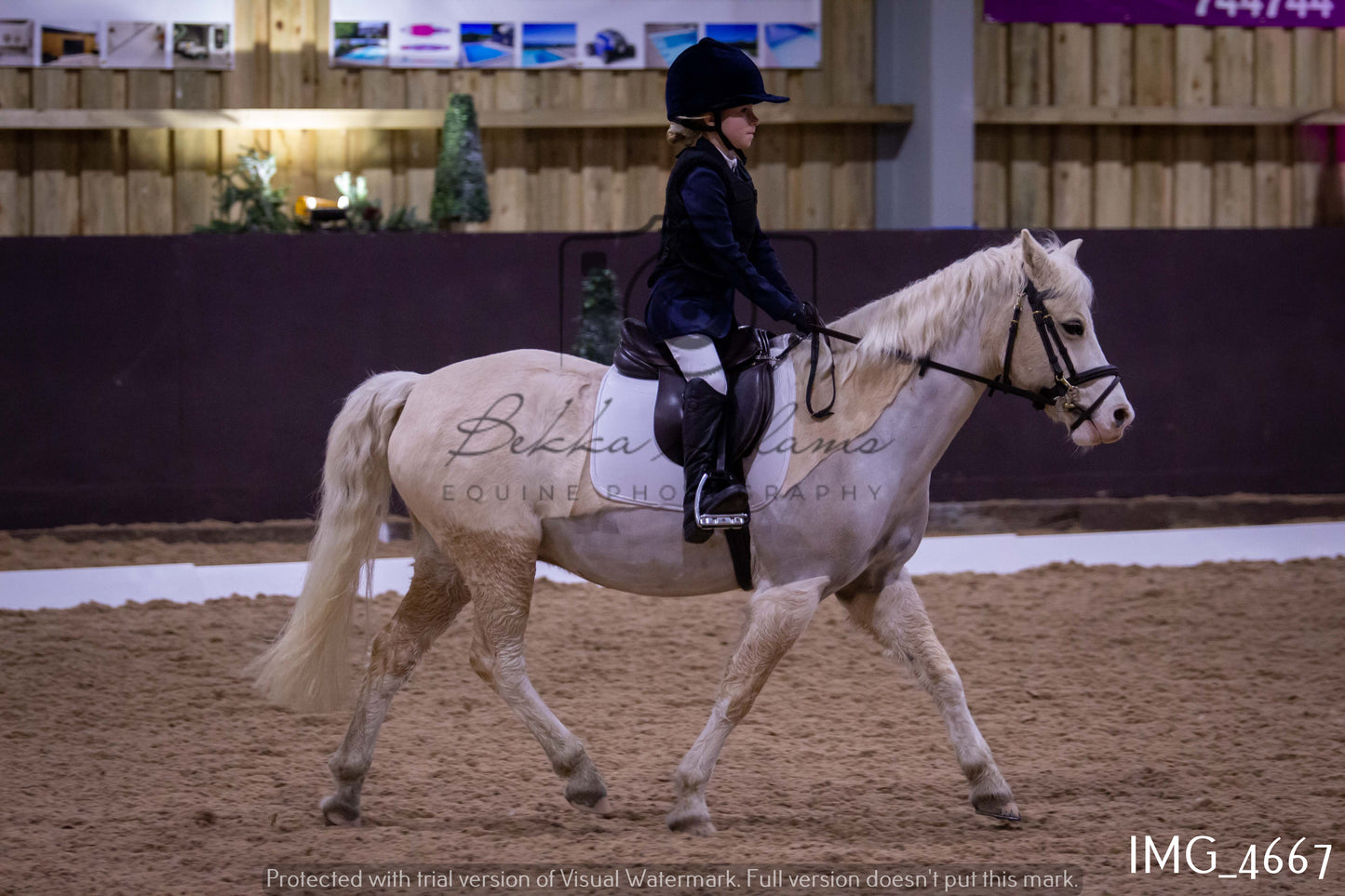 Home Farm Dressage 12th March - Juniors