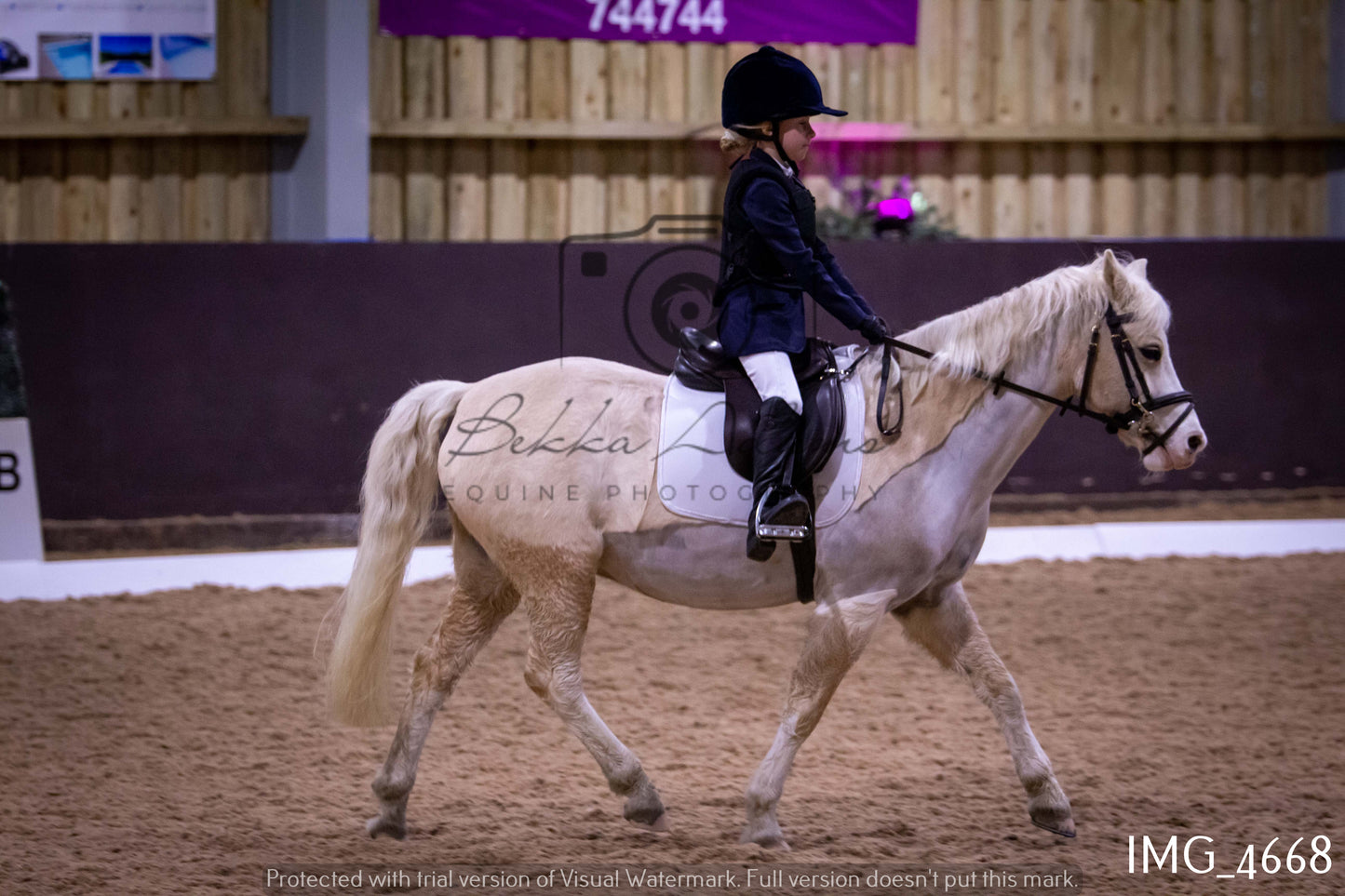 Home Farm Dressage 12th March - Juniors