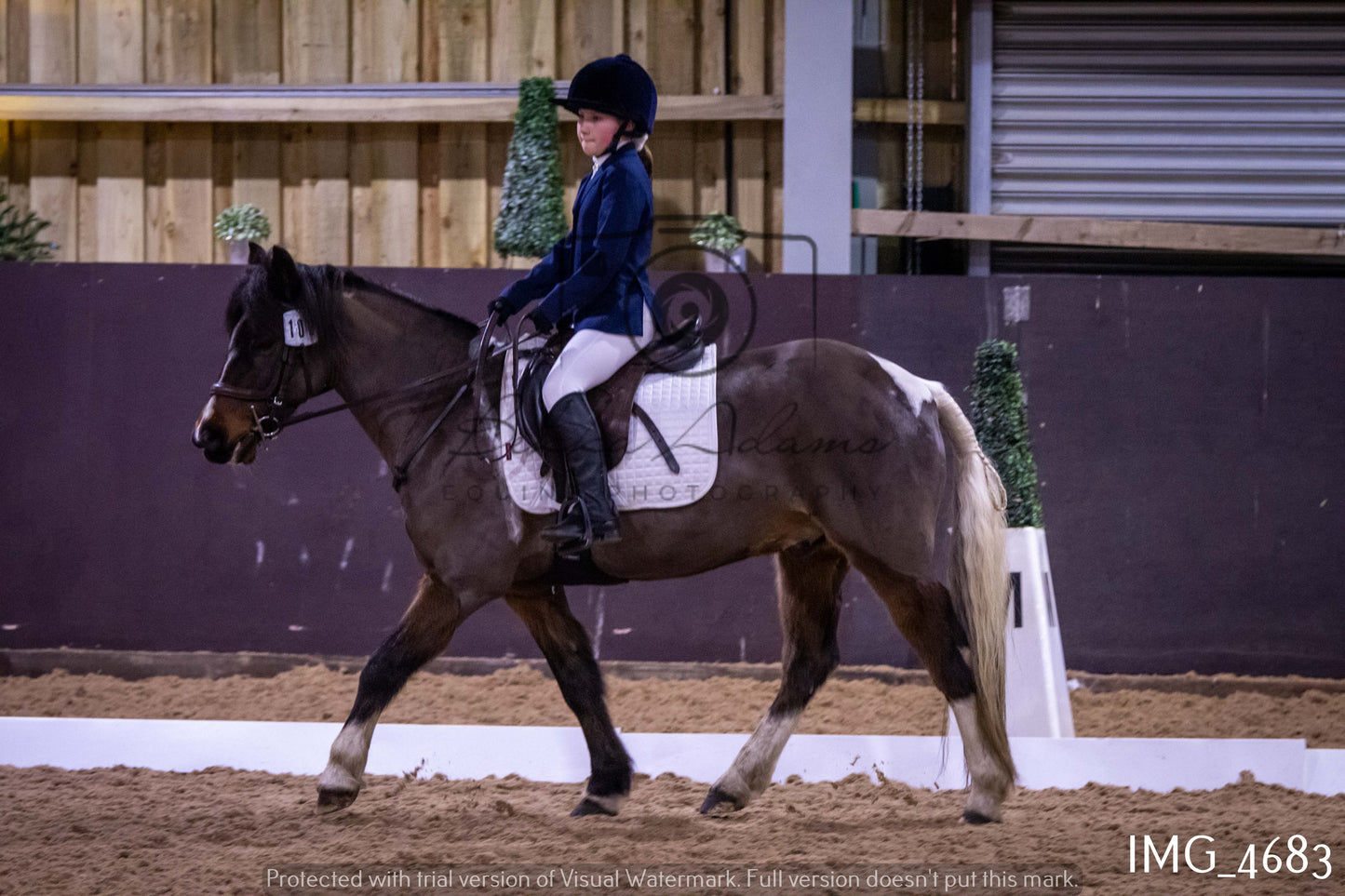 Home Farm Dressage 12th March - Juniors