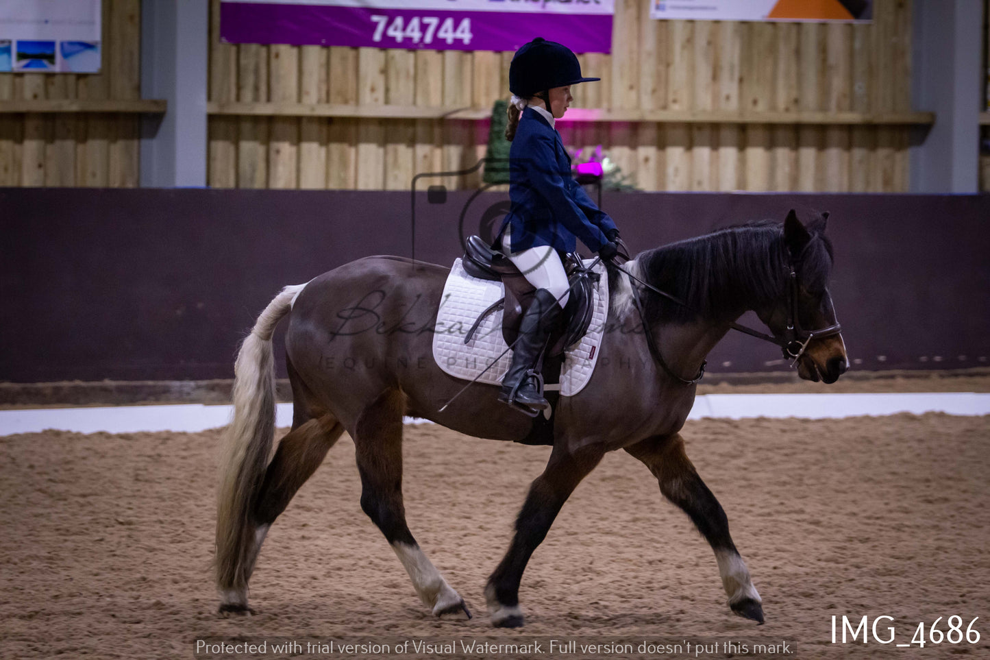 Home Farm Dressage 12th March - Juniors