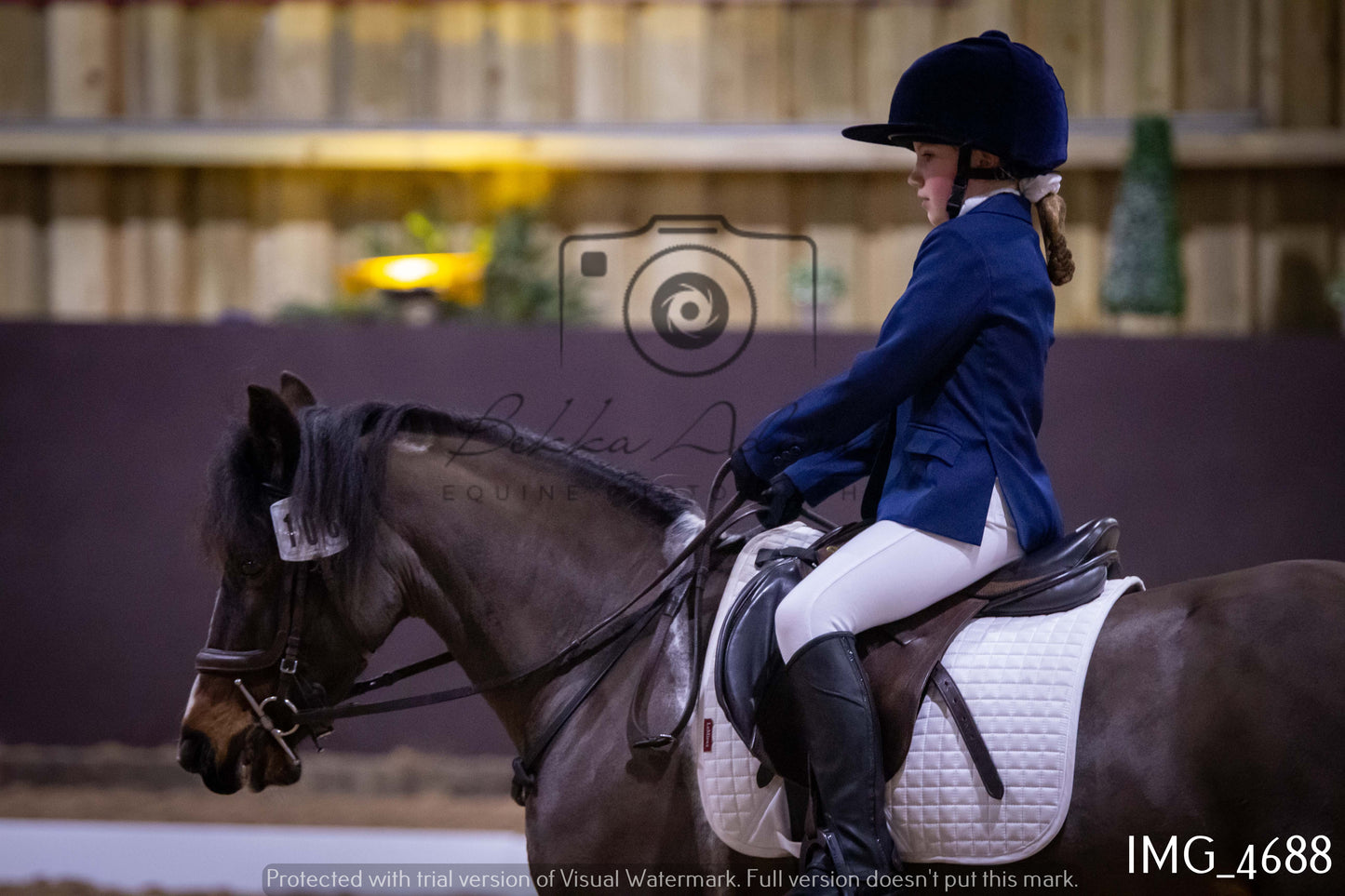 Home Farm Dressage 12th March - Juniors