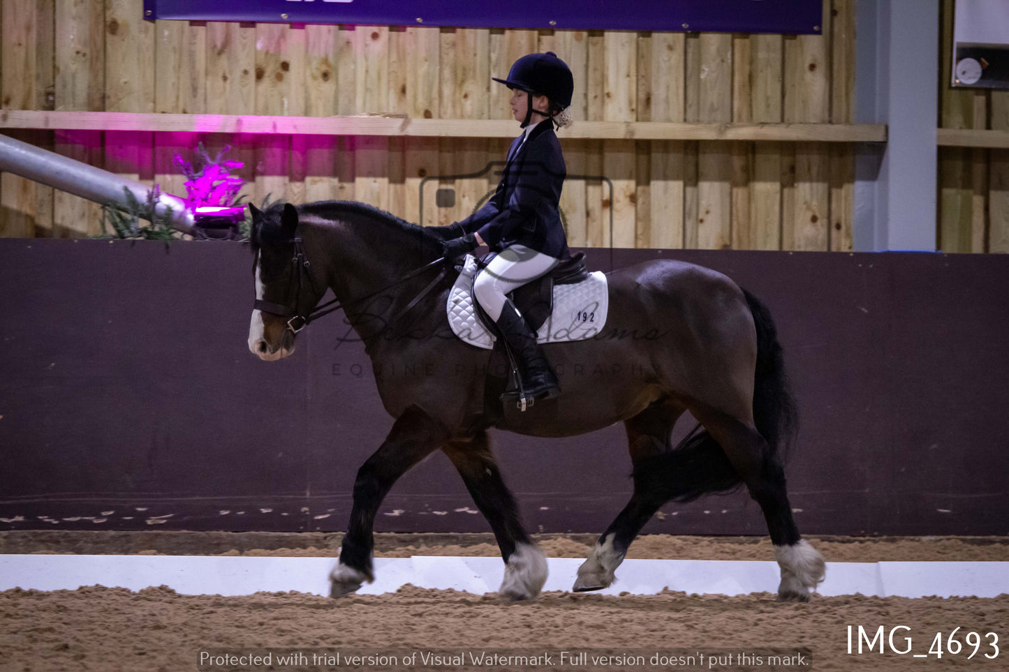 Home Farm Dressage 12th March - Juniors