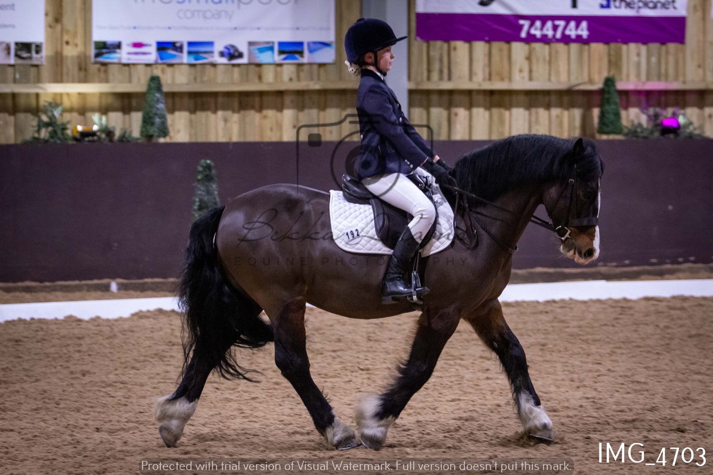 Home Farm Dressage 12th March - Juniors