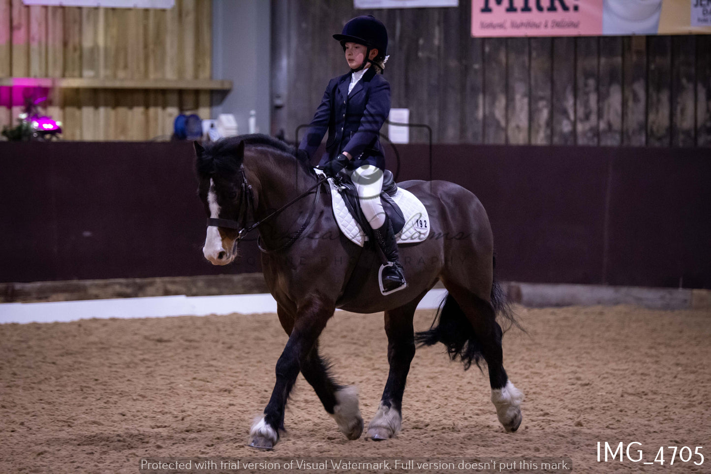 Home Farm Dressage 12th March - Juniors