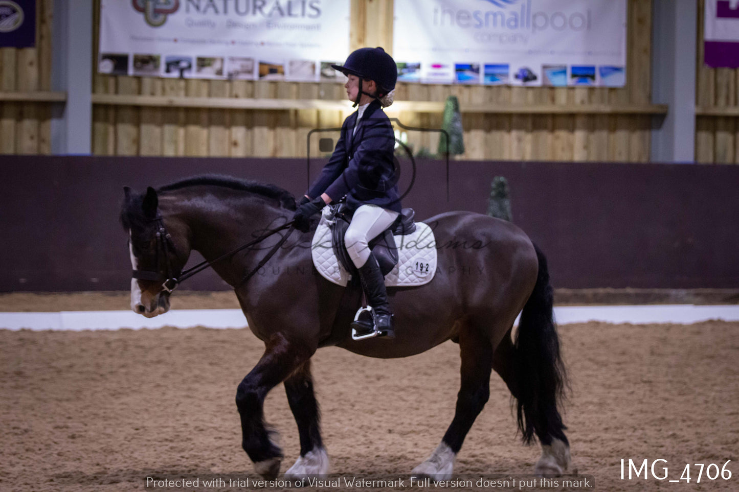 Home Farm Dressage 12th March - Juniors