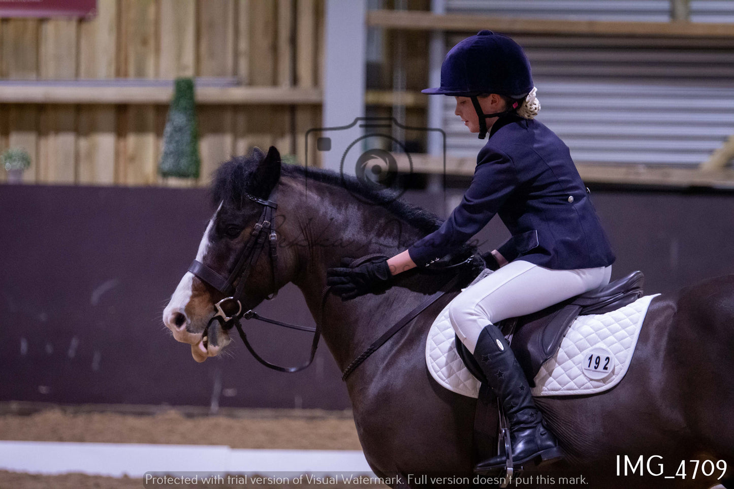 Home Farm Dressage 12th March - Juniors