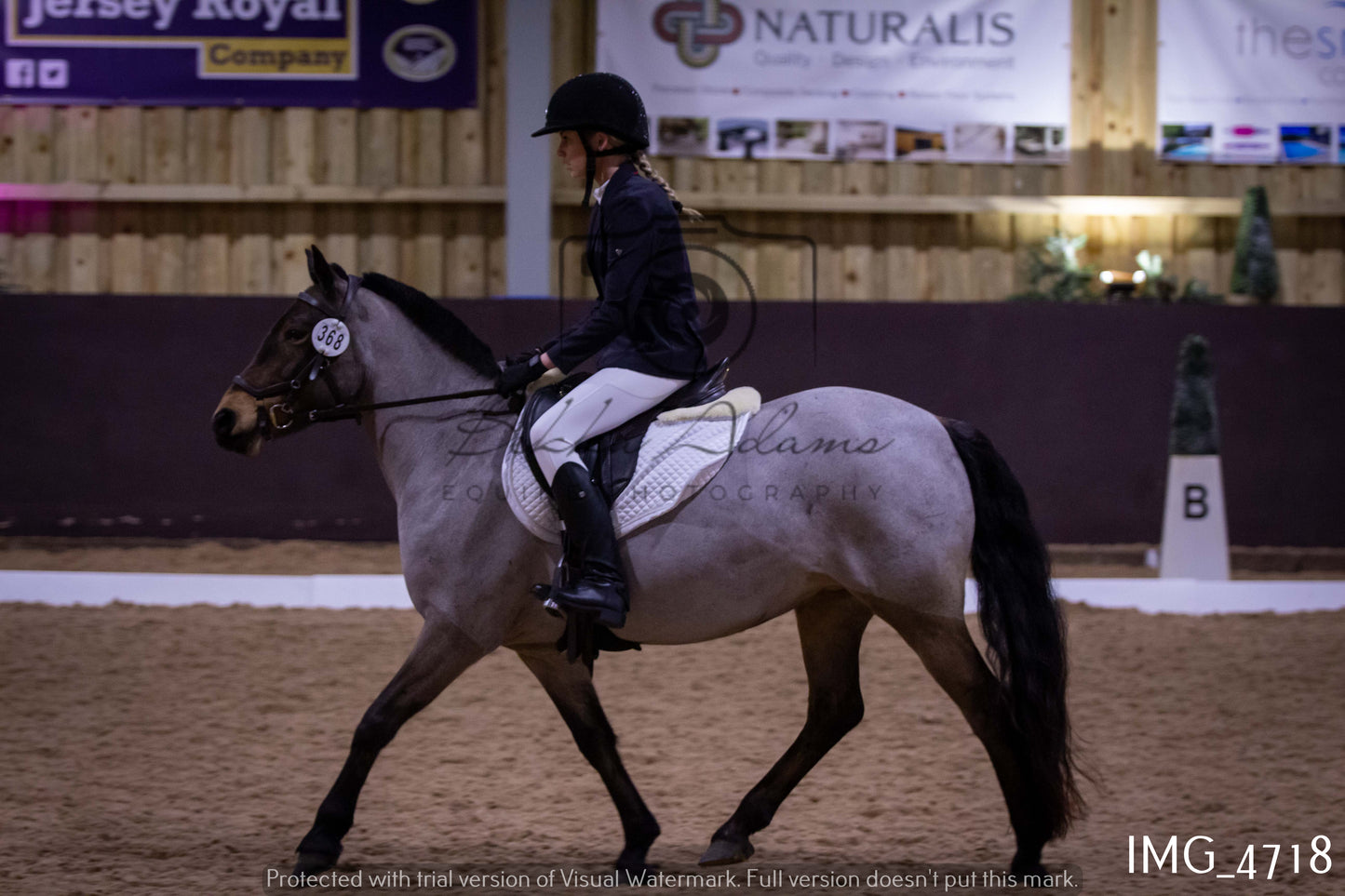 Home Farm Dressage 12th March - Juniors