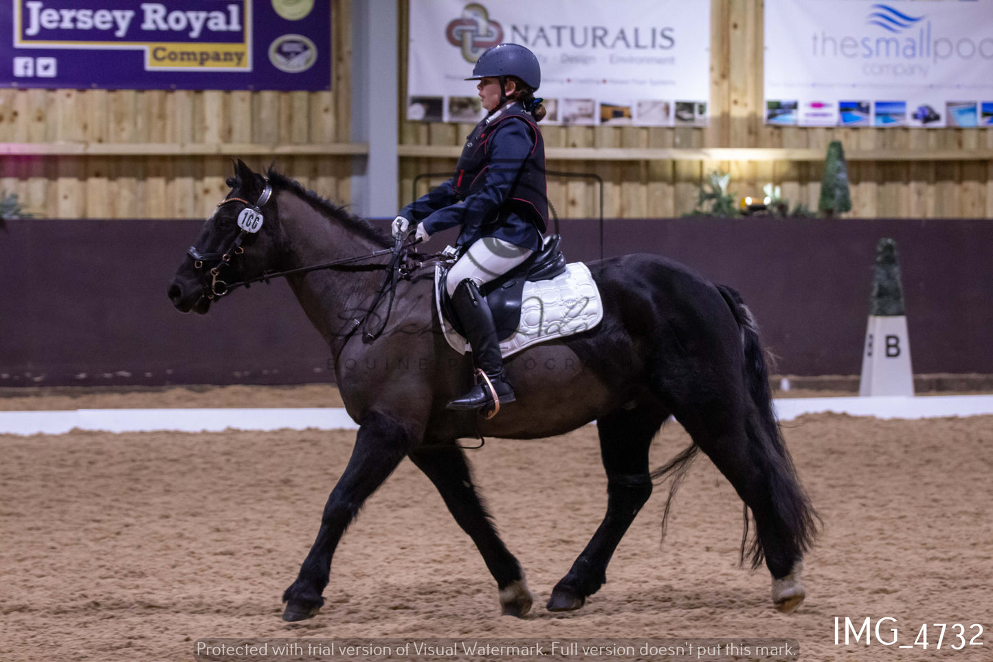 Home Farm Dressage 12th March - Juniors