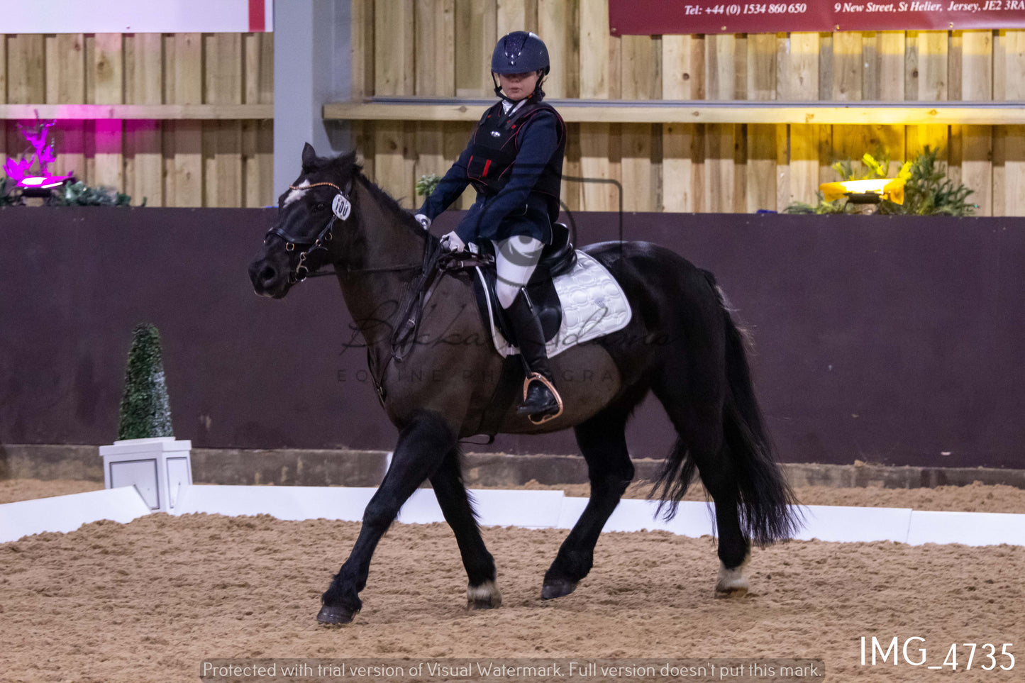 Home Farm Dressage 12th March - Juniors