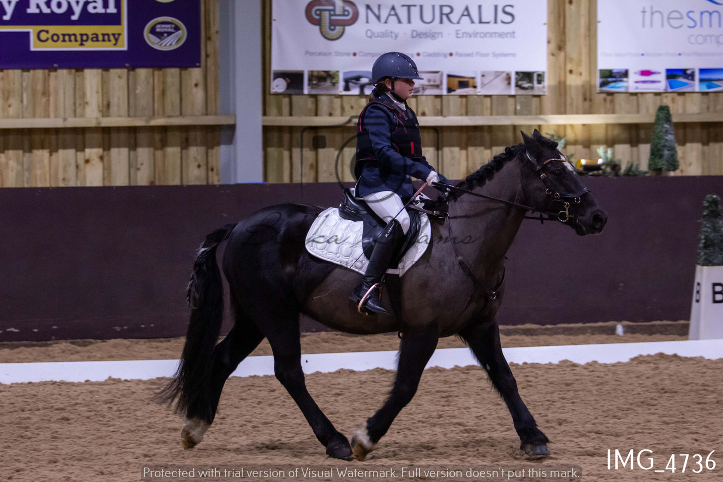 Home Farm Dressage 12th March - Juniors