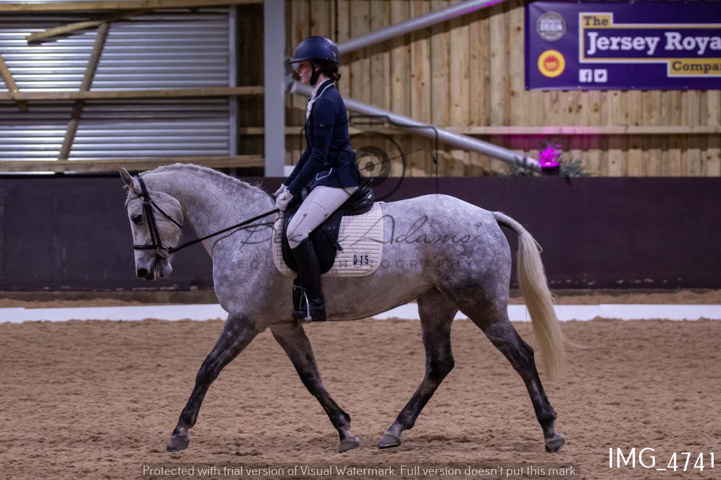 Home Farm Dressage 12th March - Juniors
