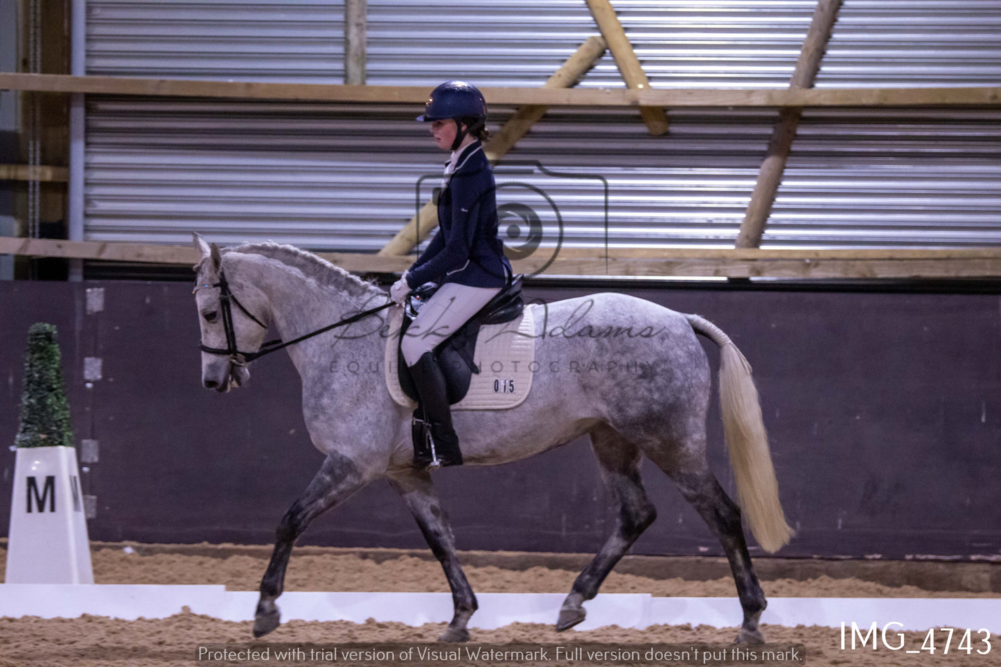 Home Farm Dressage 12th March - Juniors
