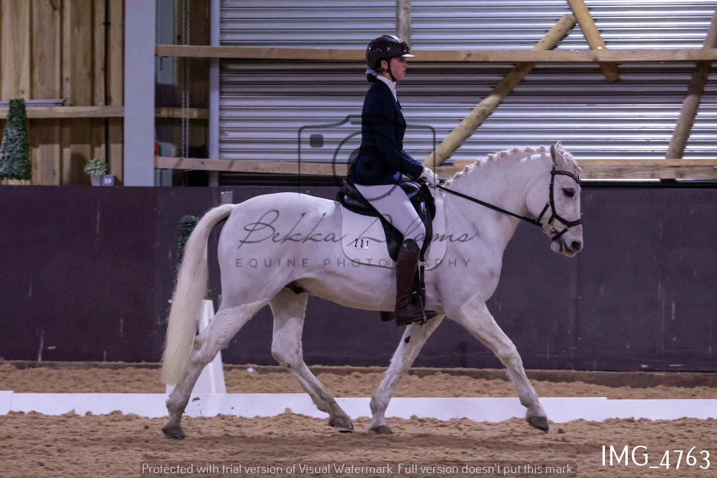 Home Farm Dressage 12th March - Juniors