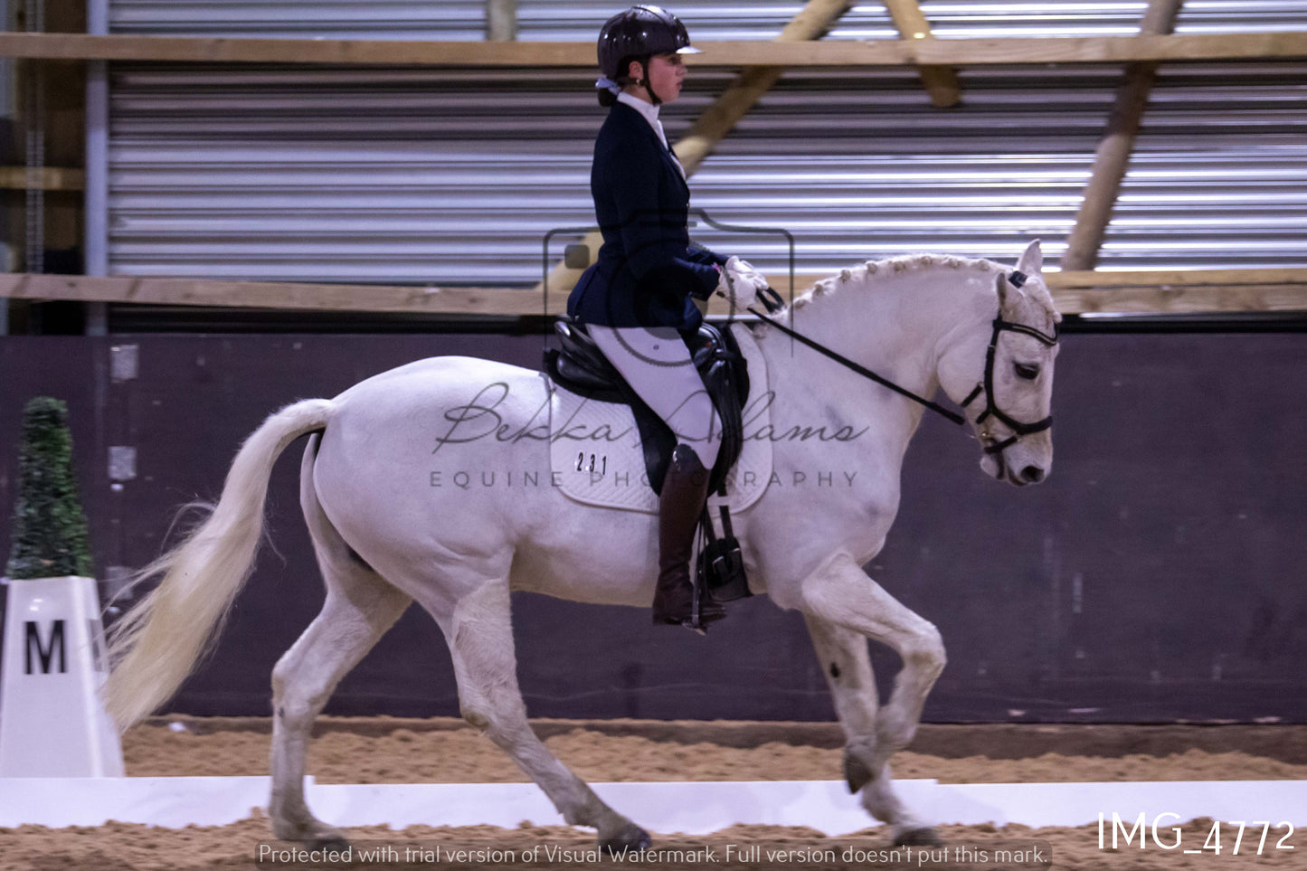 Home Farm Dressage 12th March - Juniors