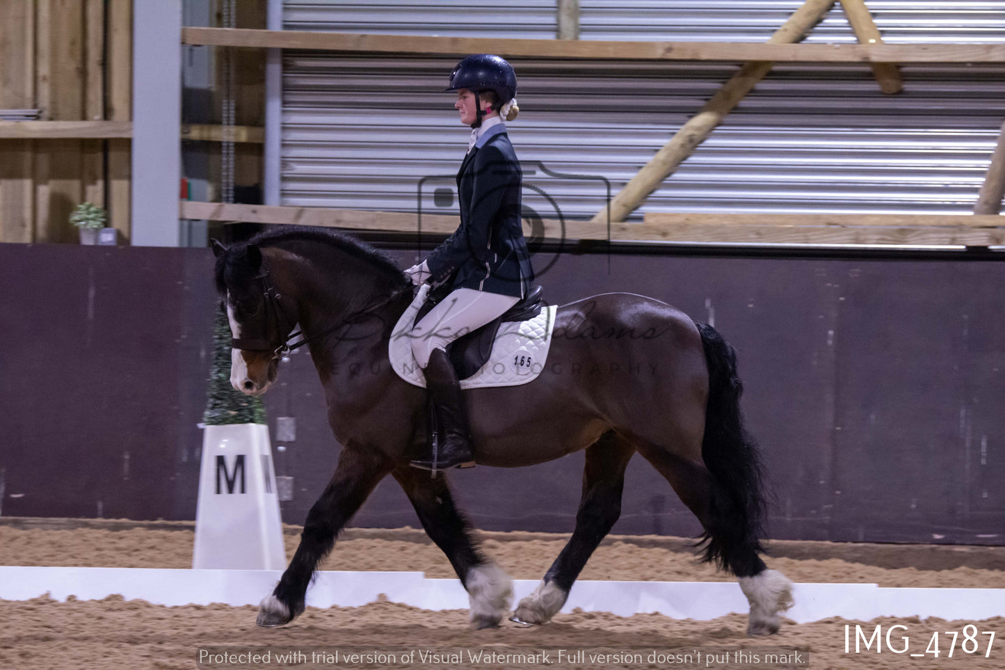 Home Farm Dressage 12th March - Juniors