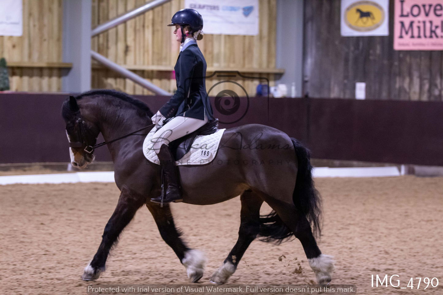 Home Farm Dressage 12th March - Juniors