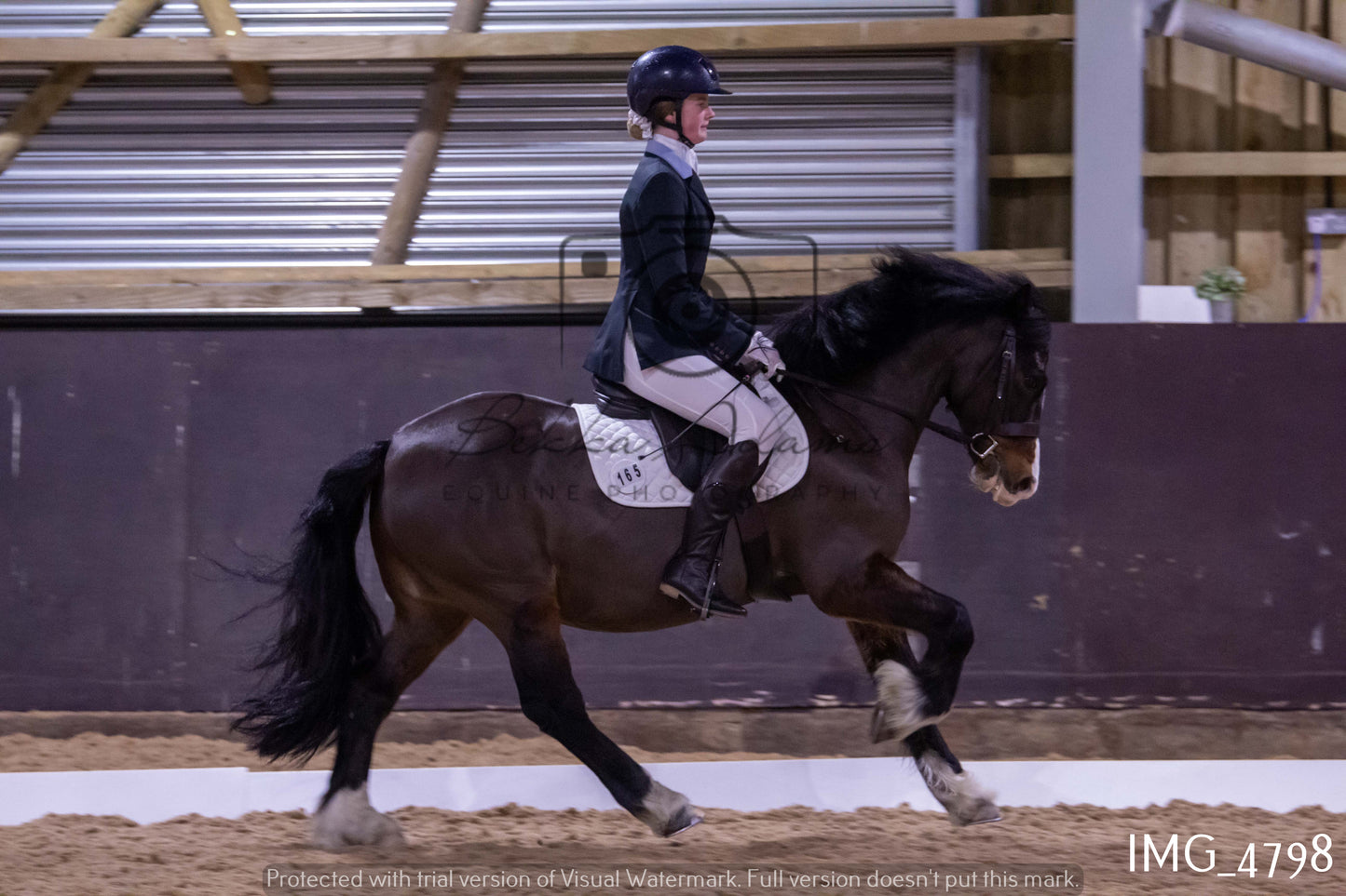 Home Farm Dressage 12th March - Juniors