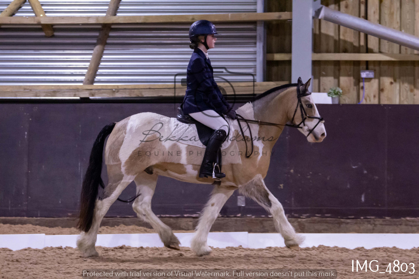 Home Farm Dressage 12th March - Juniors