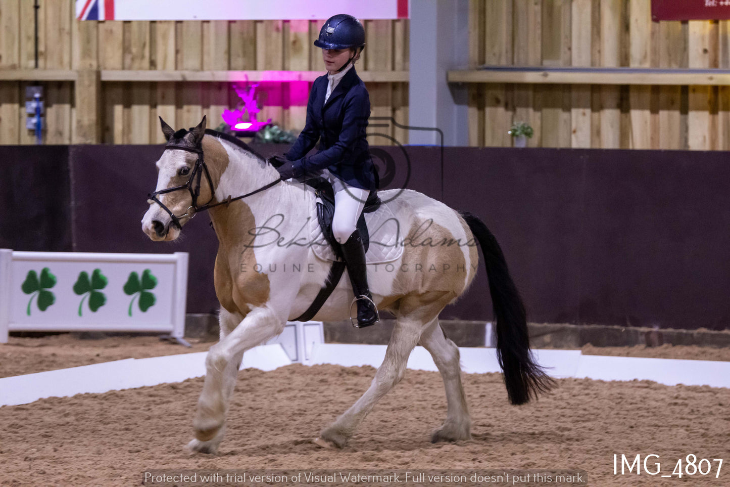 Home Farm Dressage 12th March - Juniors