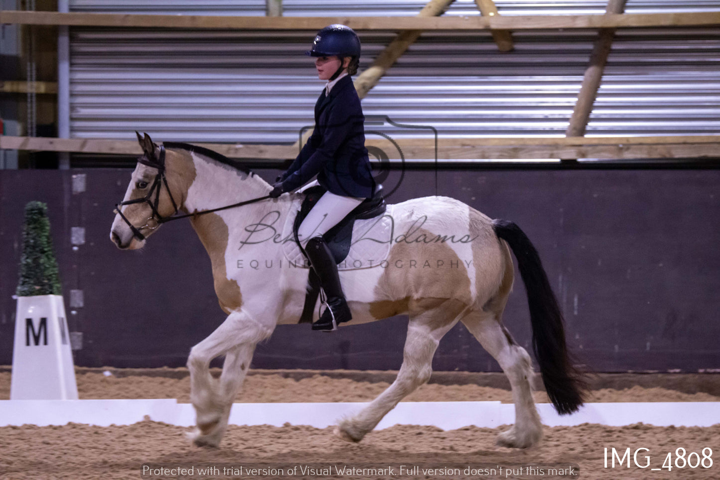 Home Farm Dressage 12th March - Juniors