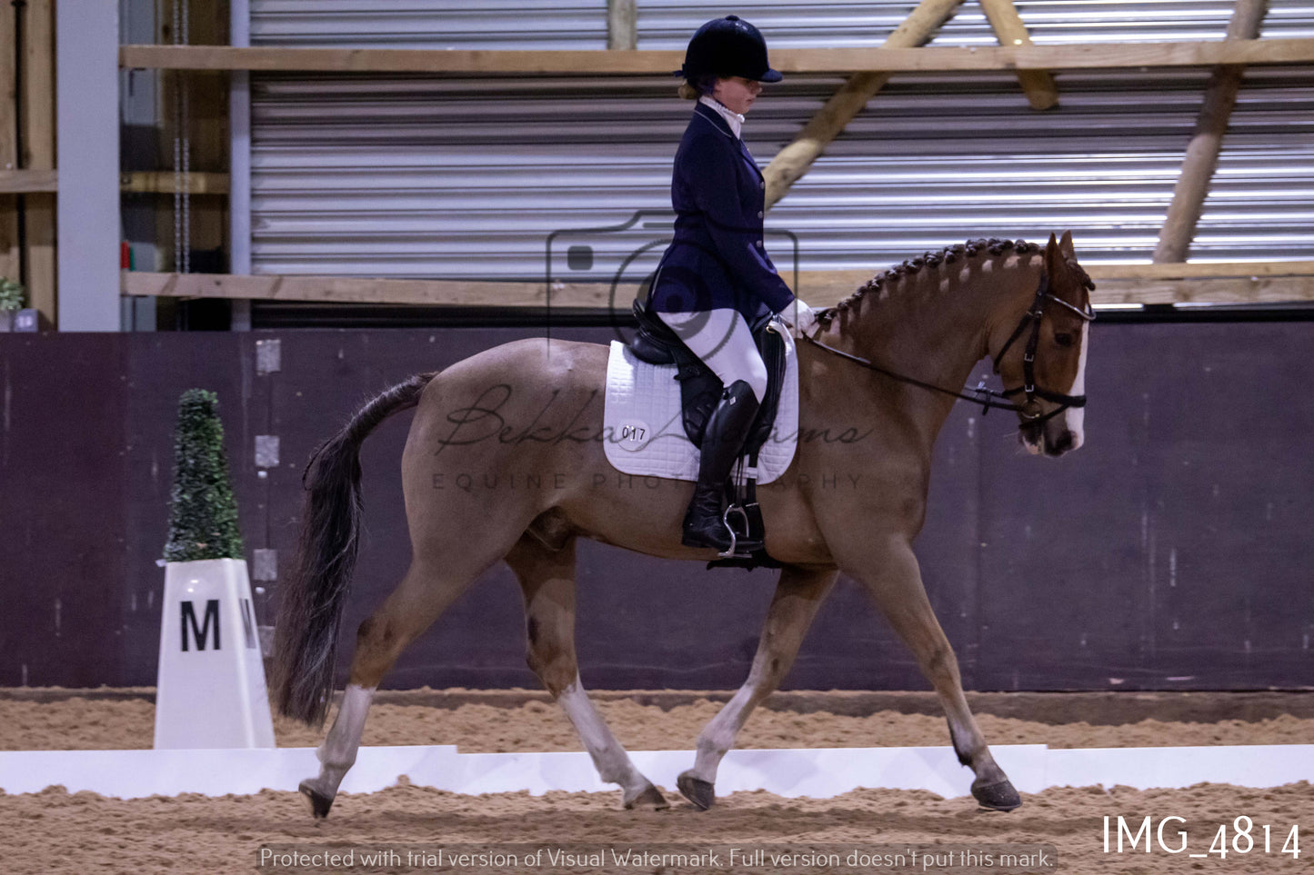 Home Farm Dressage 12th March - Juniors