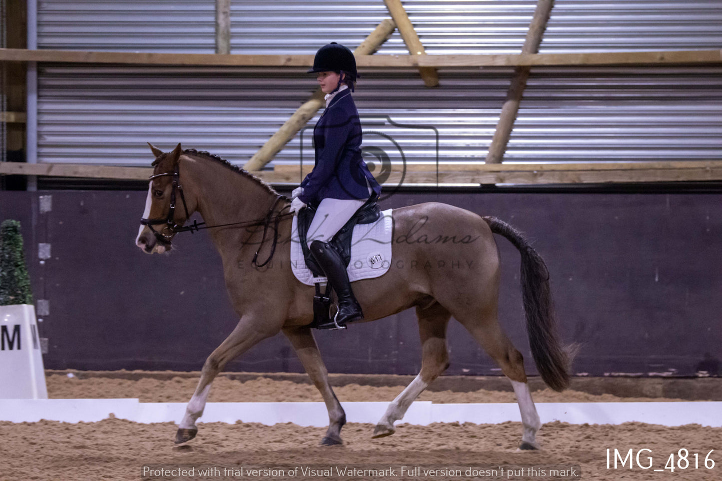 Home Farm Dressage 12th March - Juniors