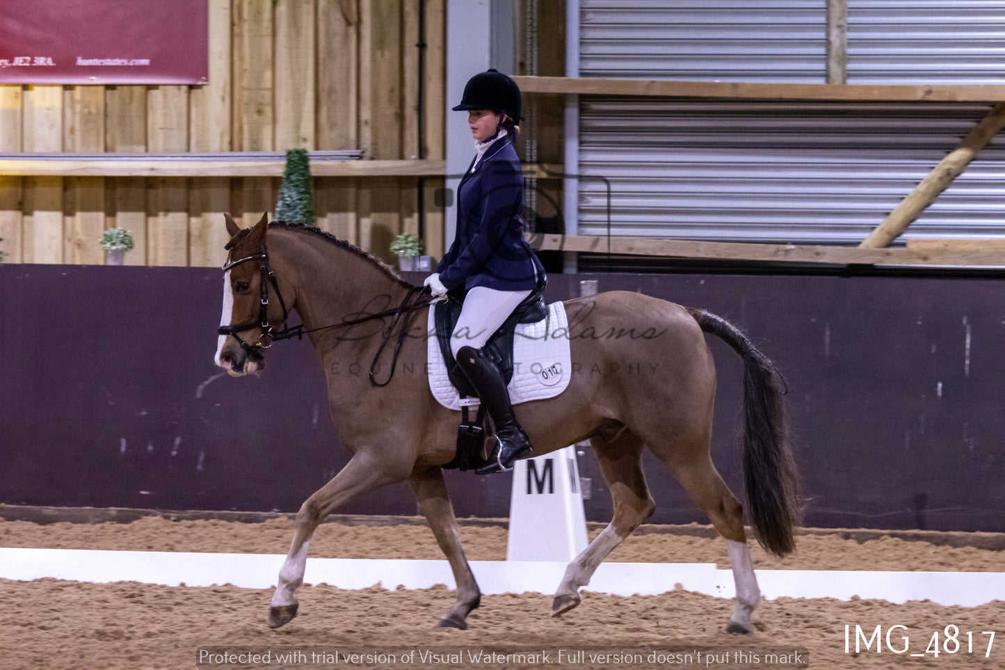 Home Farm Dressage 12th March - Juniors