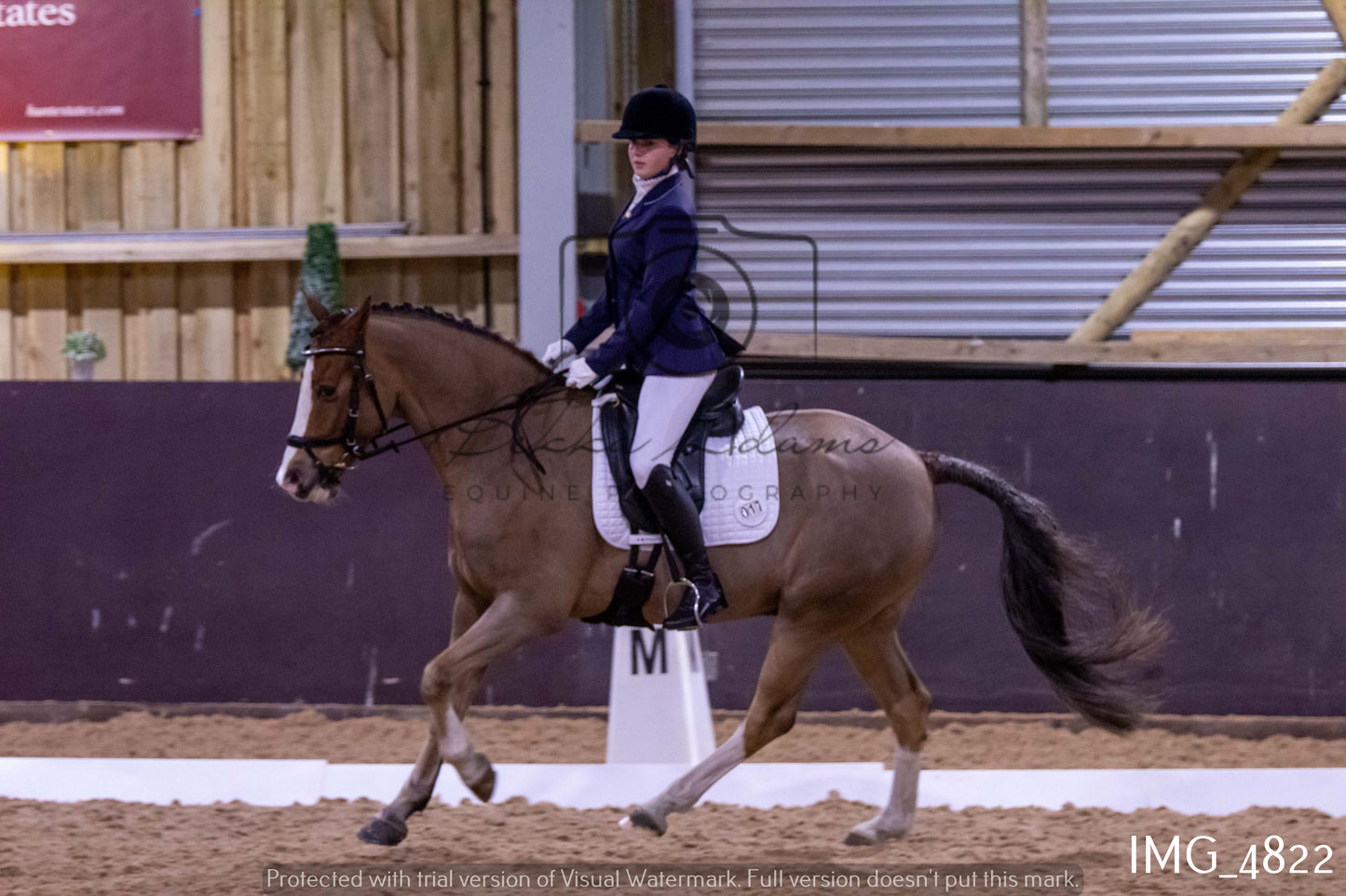 Home Farm Dressage 12th March - Juniors
