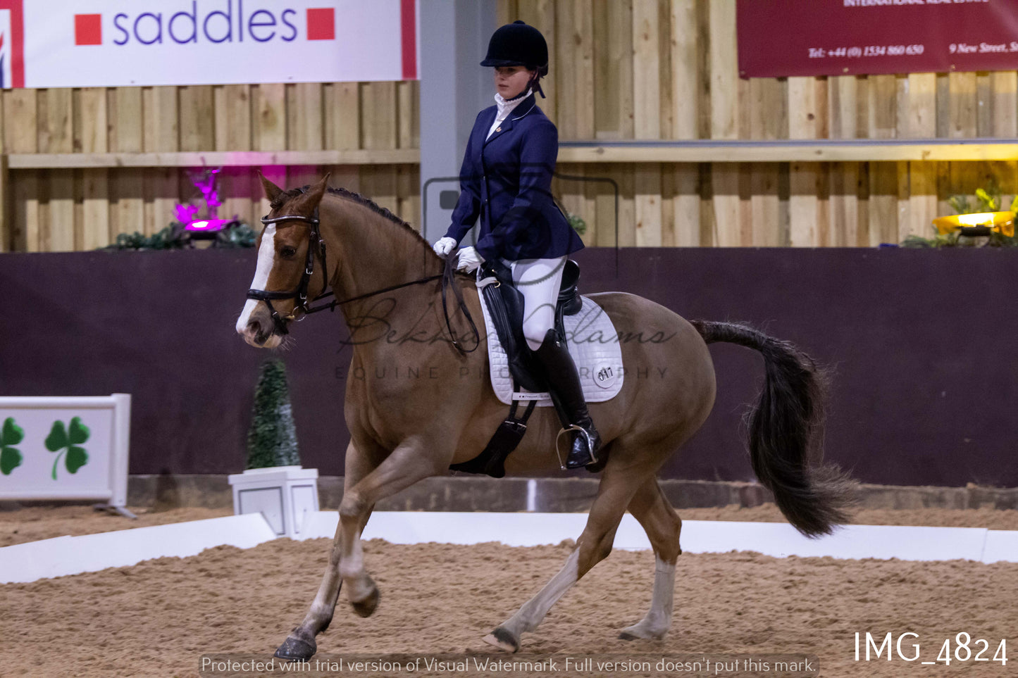 Home Farm Dressage 12th March - Juniors