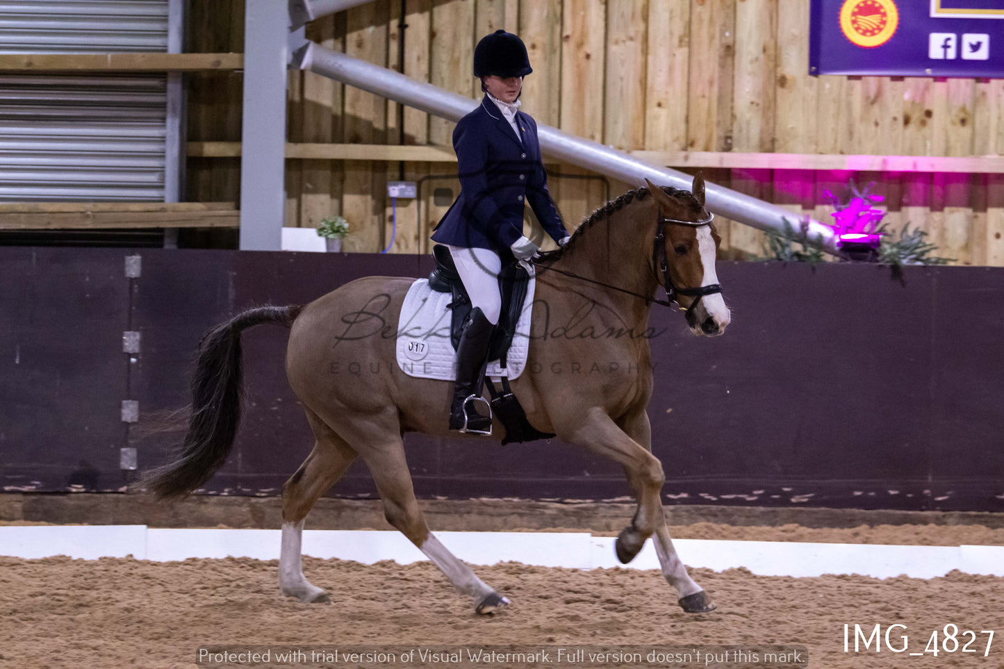 Home Farm Dressage 12th March - Juniors