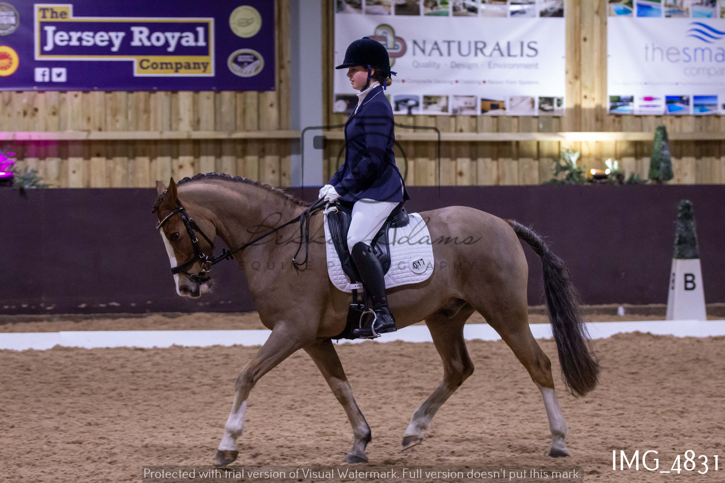 Home Farm Dressage 12th March - Juniors