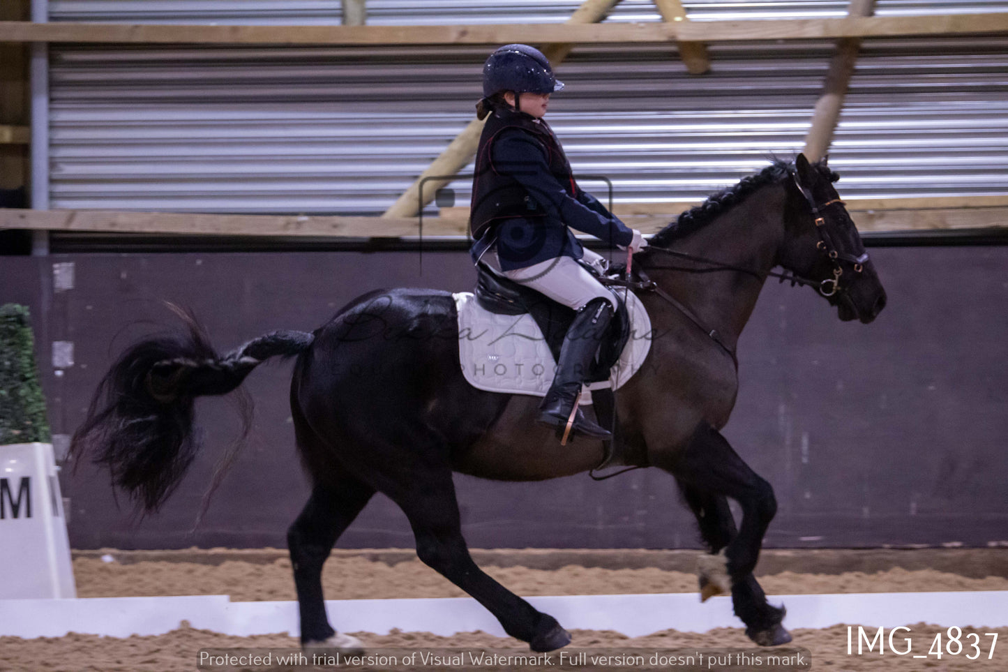 Home Farm Dressage 12th March - Juniors