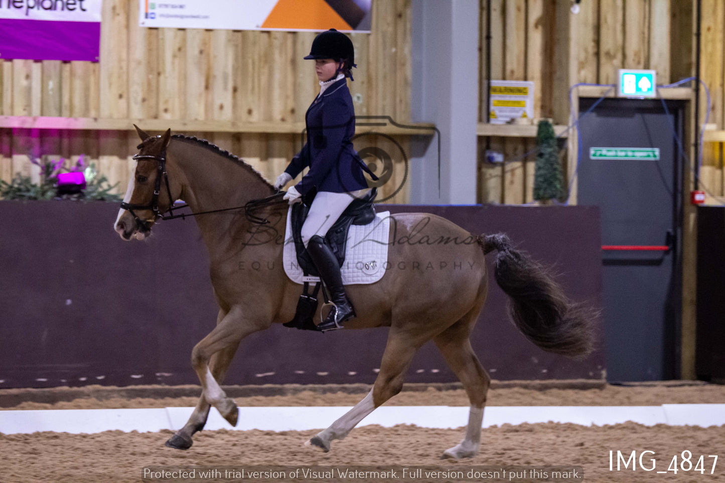 Home Farm Dressage 12th March - Juniors