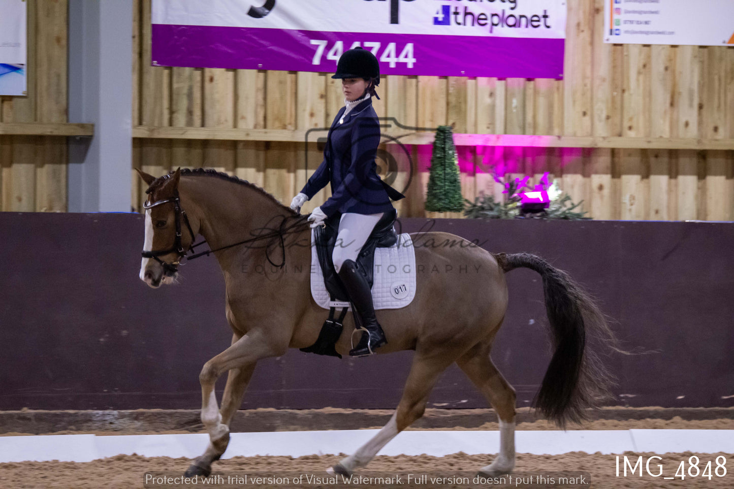 Home Farm Dressage 12th March - Juniors