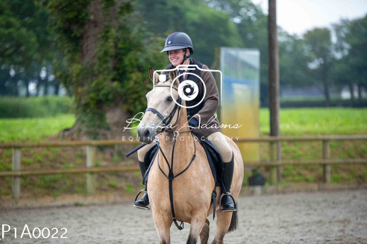 Home Farm Working Hunter 10th June