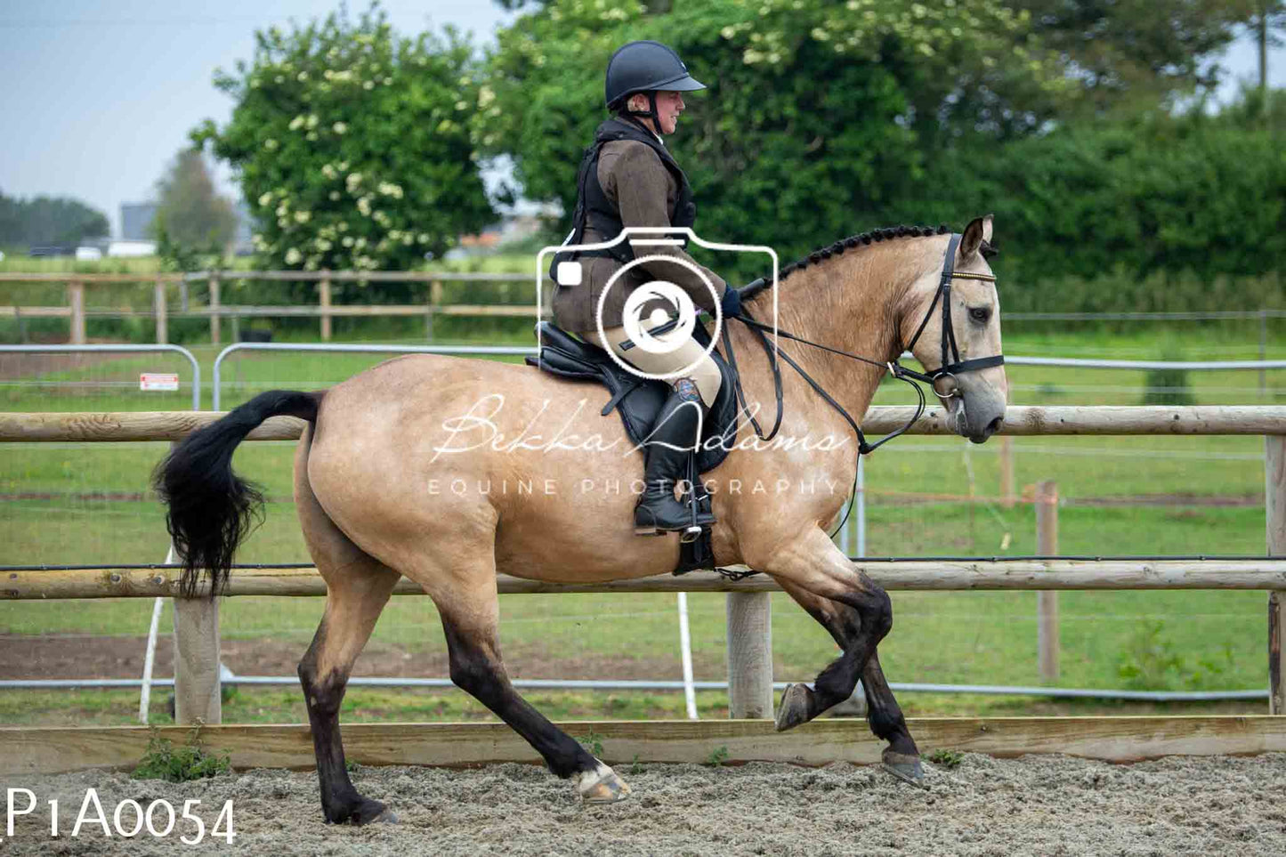 Home Farm Working Hunter 10th June