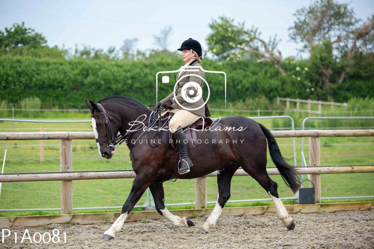 Home Farm Working Hunter 10th June