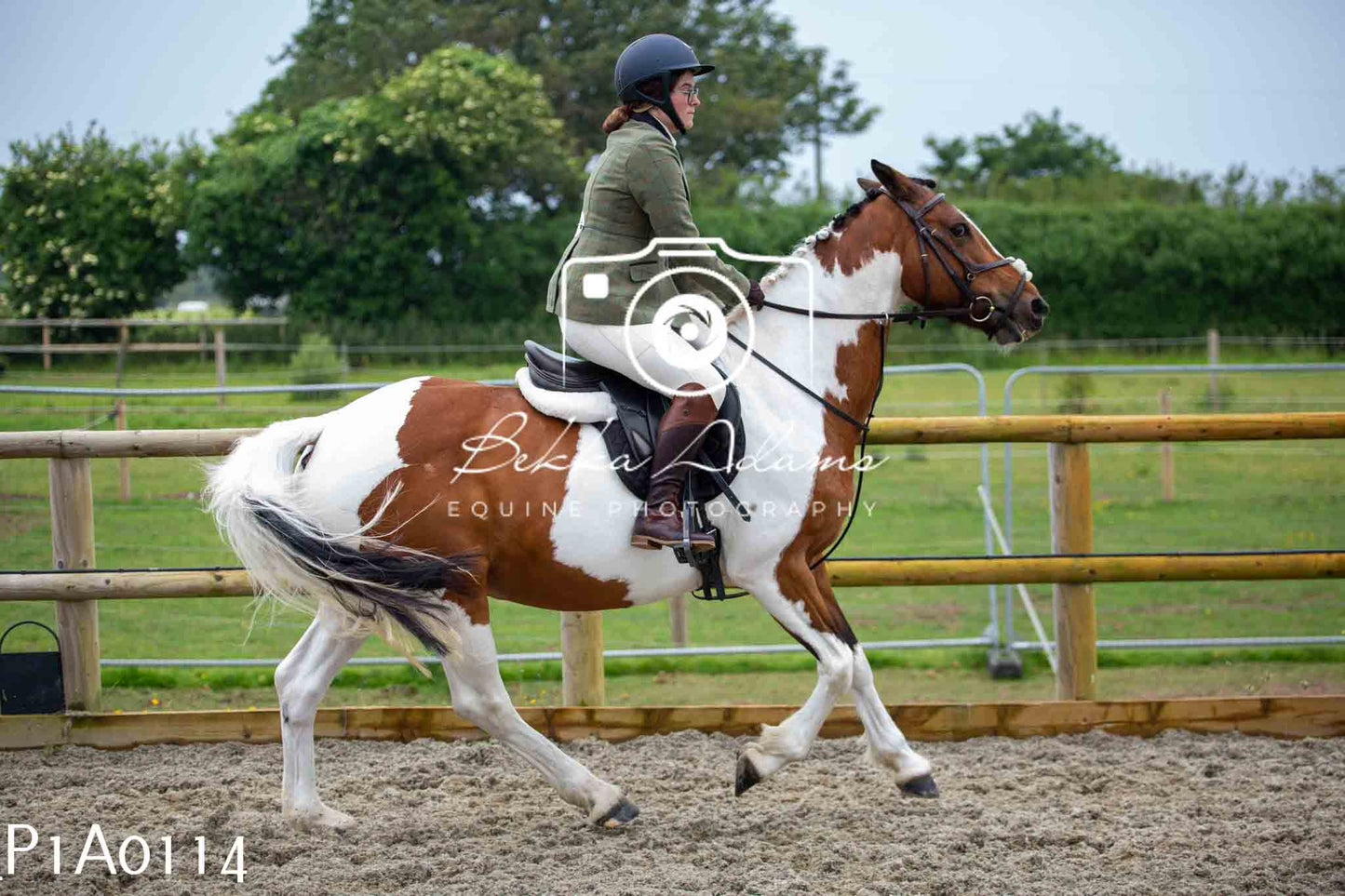 Home Farm Working Hunter 10th June