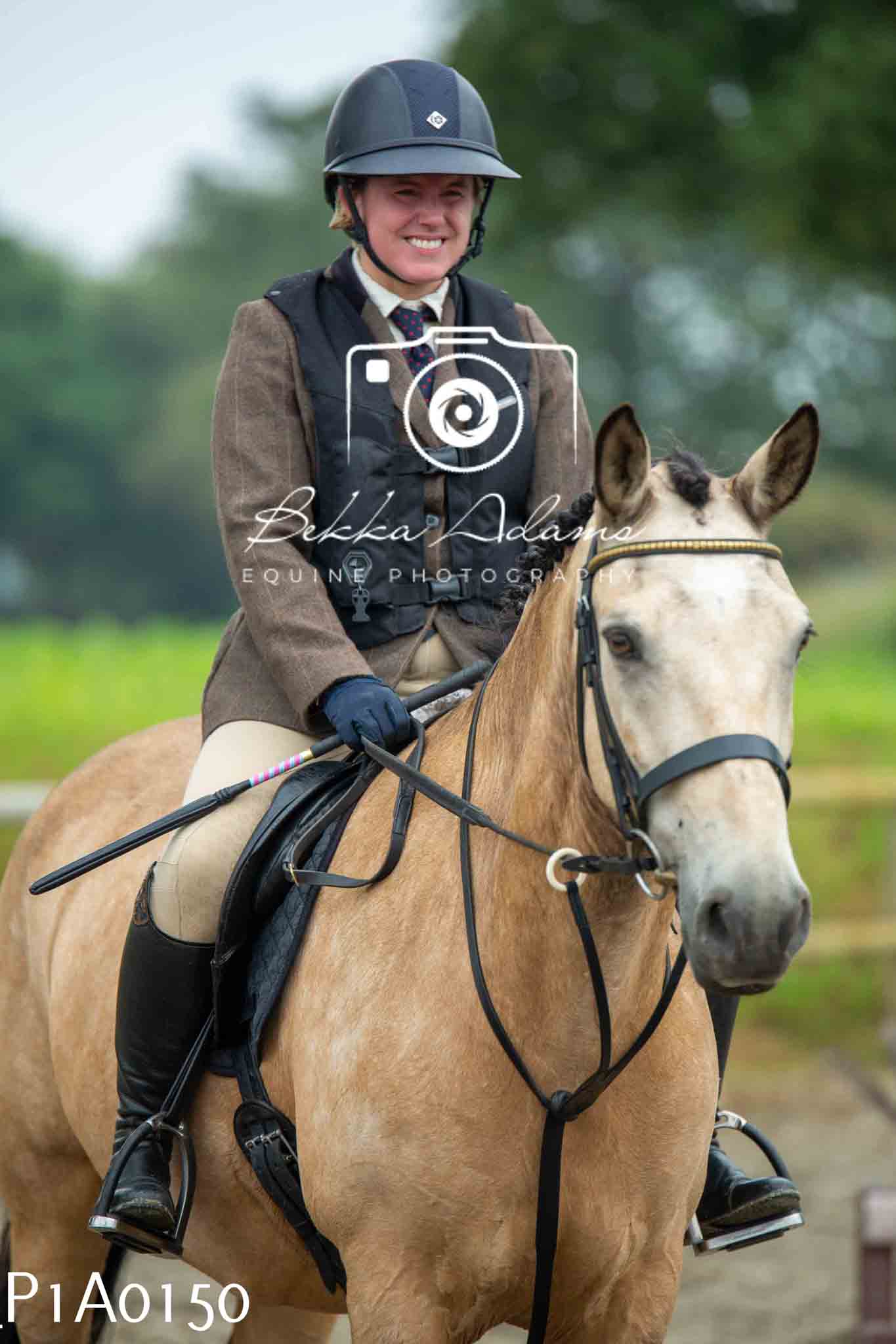 Home Farm Working Hunter 10th June