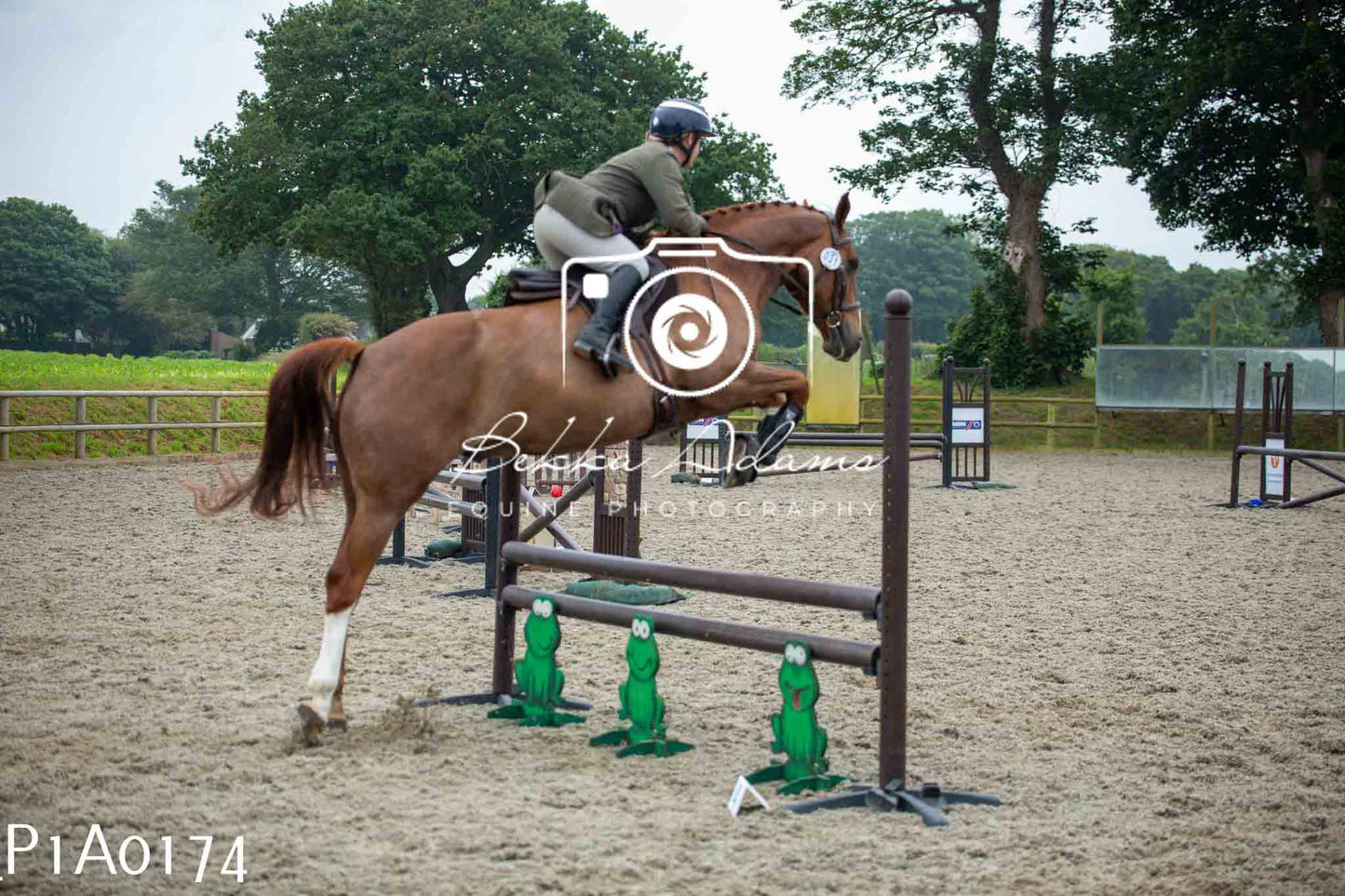 Home Farm Working Hunter 10th June