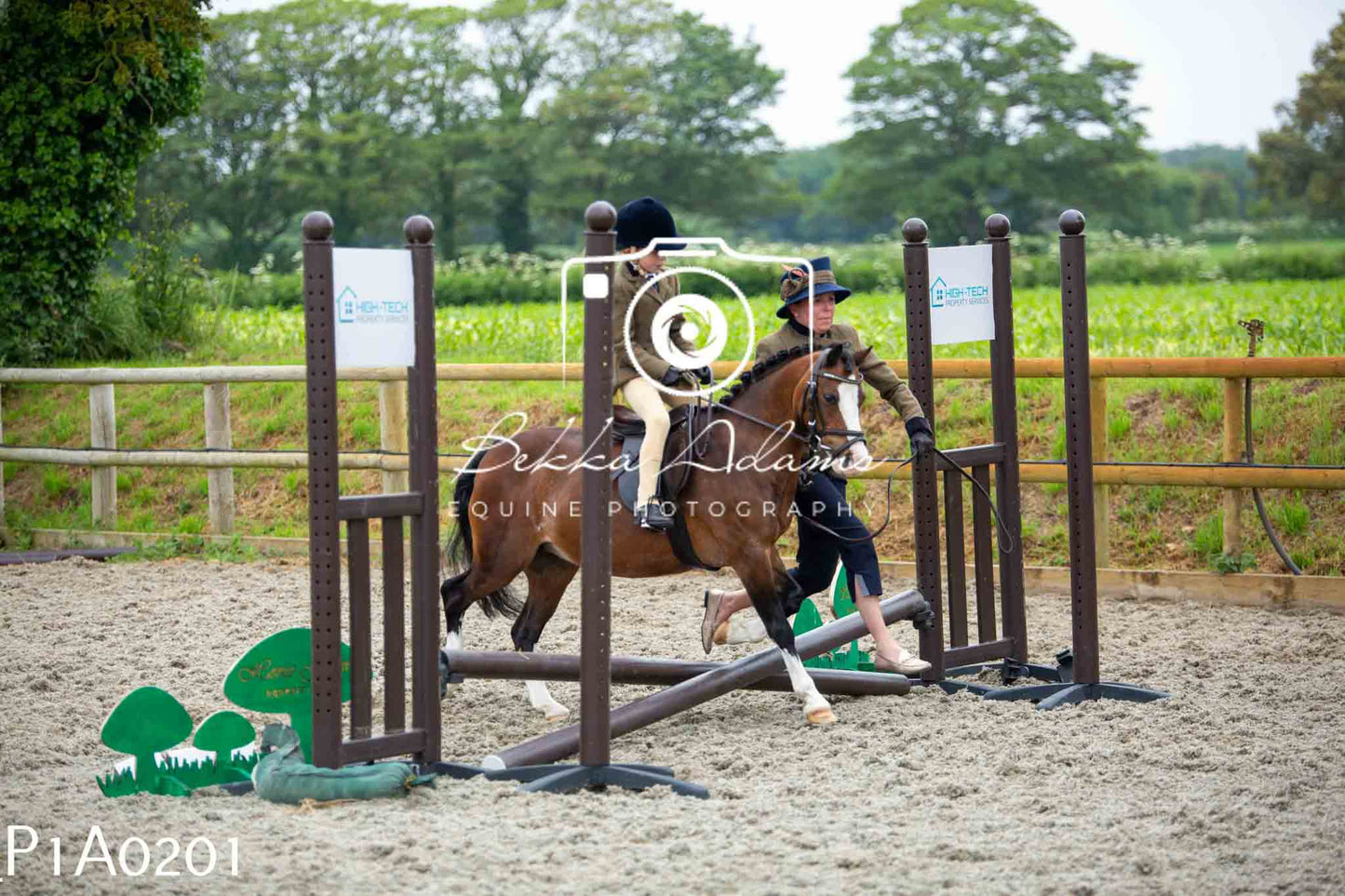 Home Farm Working Hunter 10th June