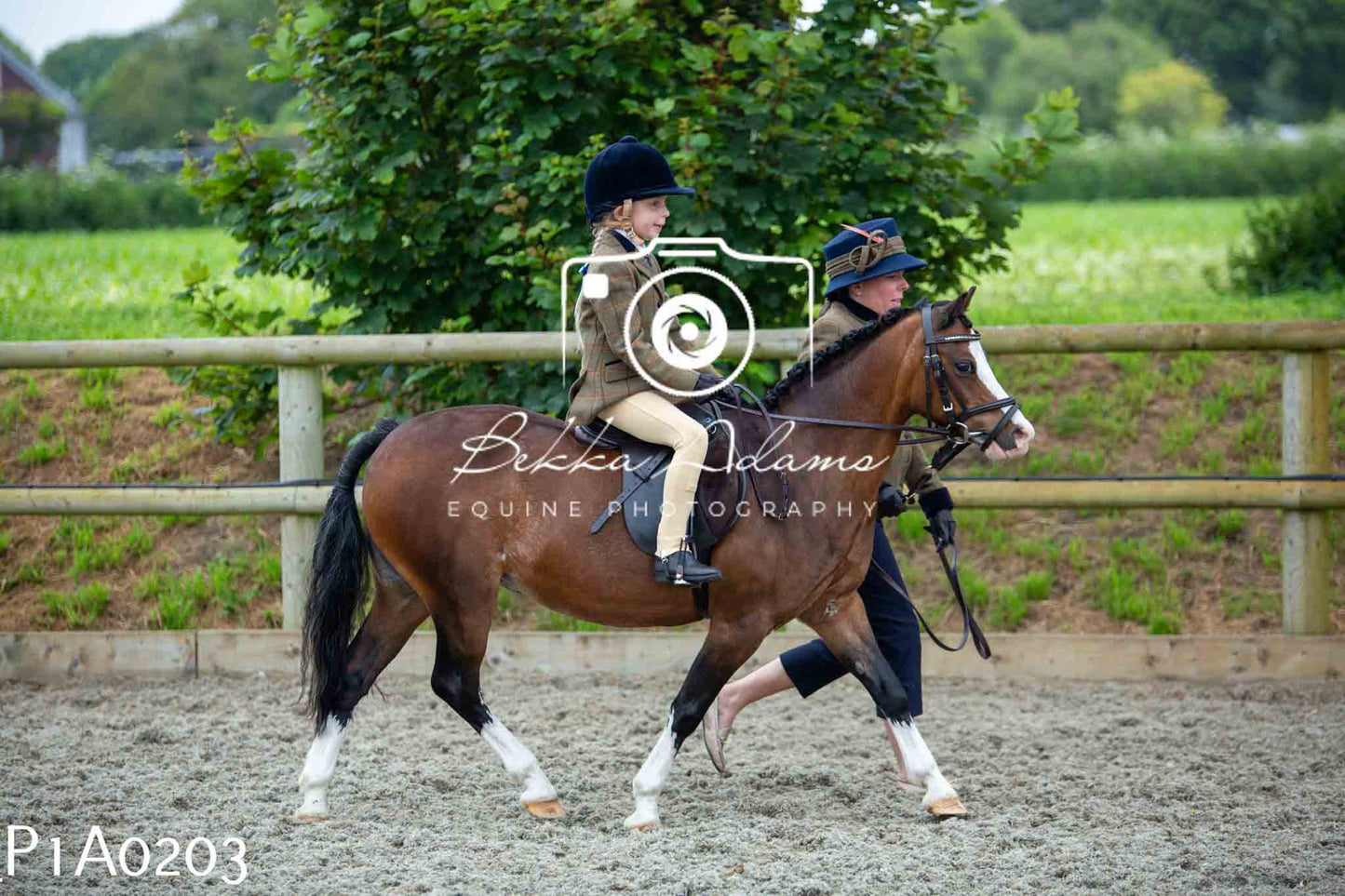 Home Farm Working Hunter 10th June