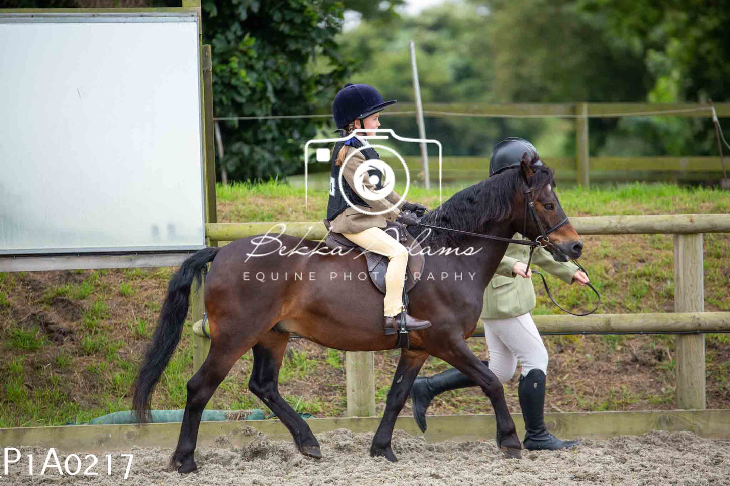 Home Farm Working Hunter 10th June