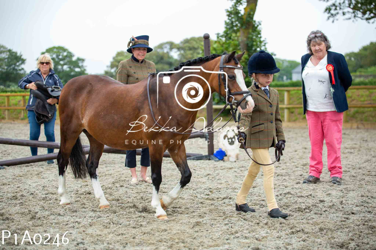 Home Farm Working Hunter 10th June