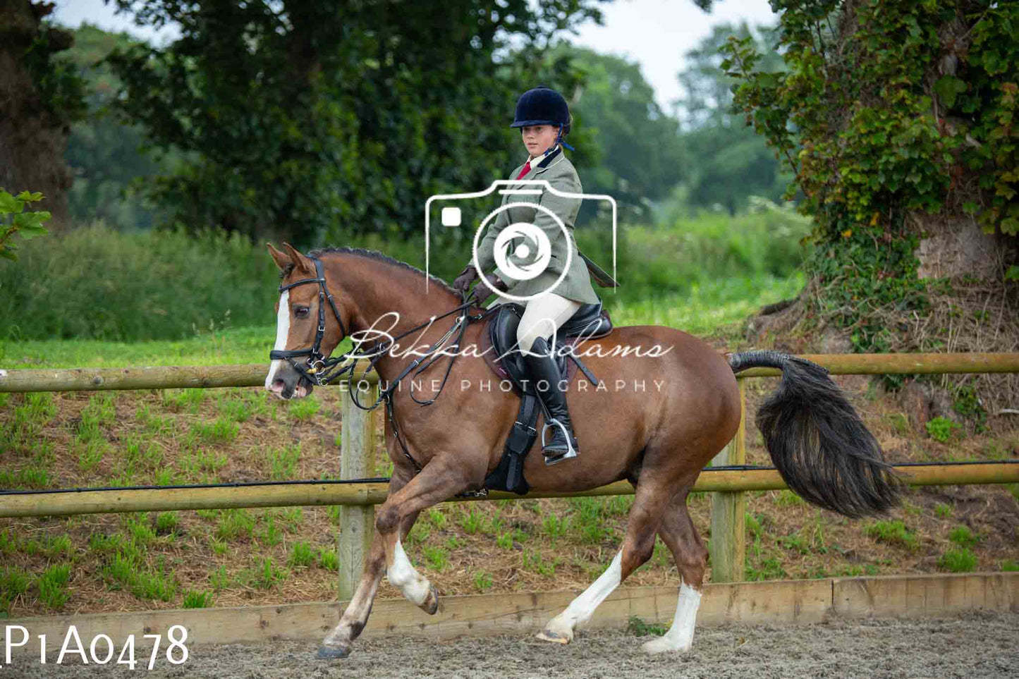 Home Farm Working Hunter 10th June