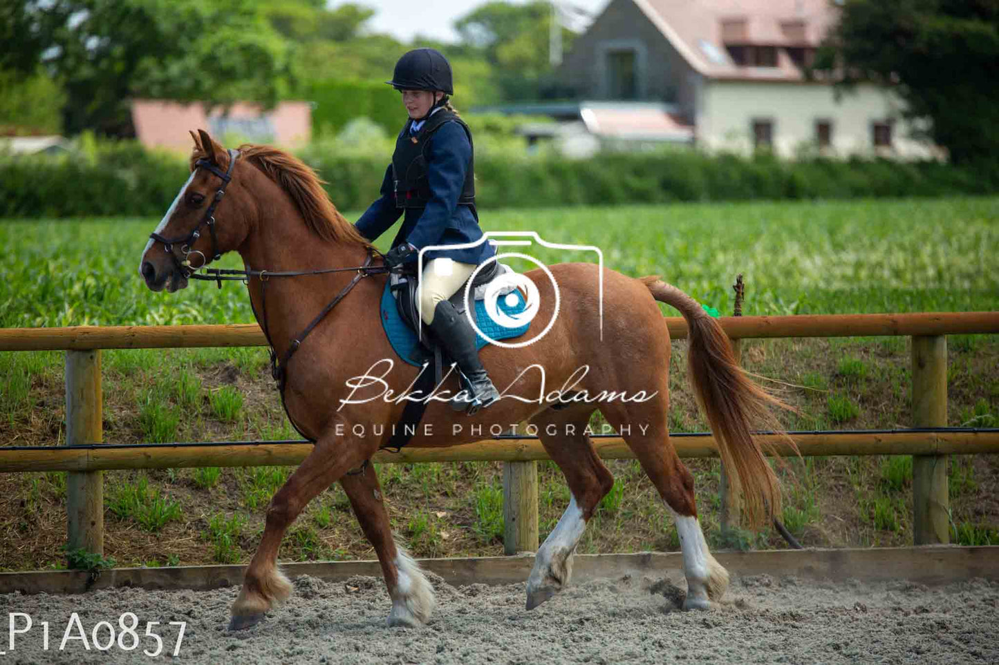 Home Farm Jumping 11th June - Seniors