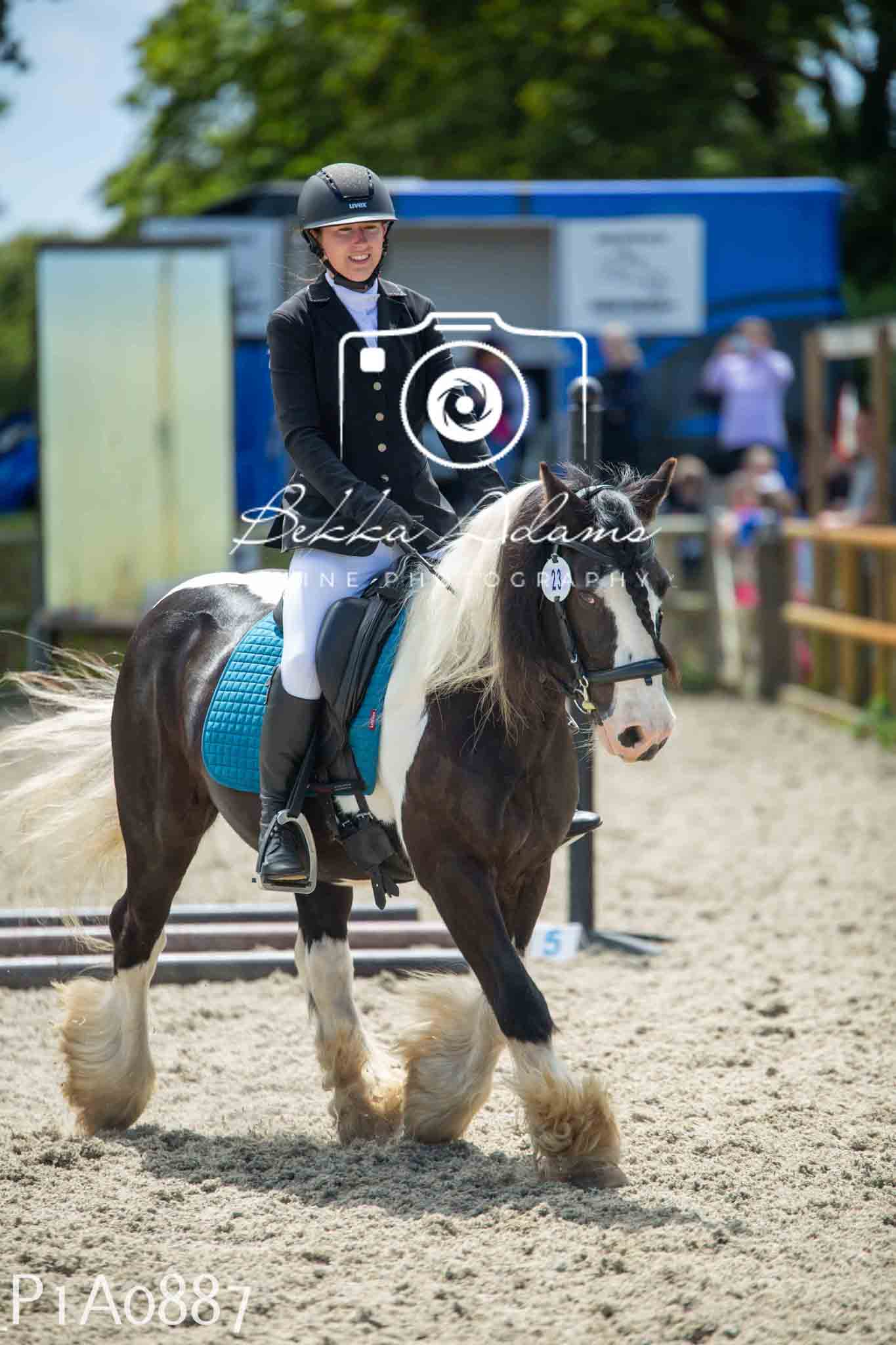 Home Farm Jumping 11th June - Seniors