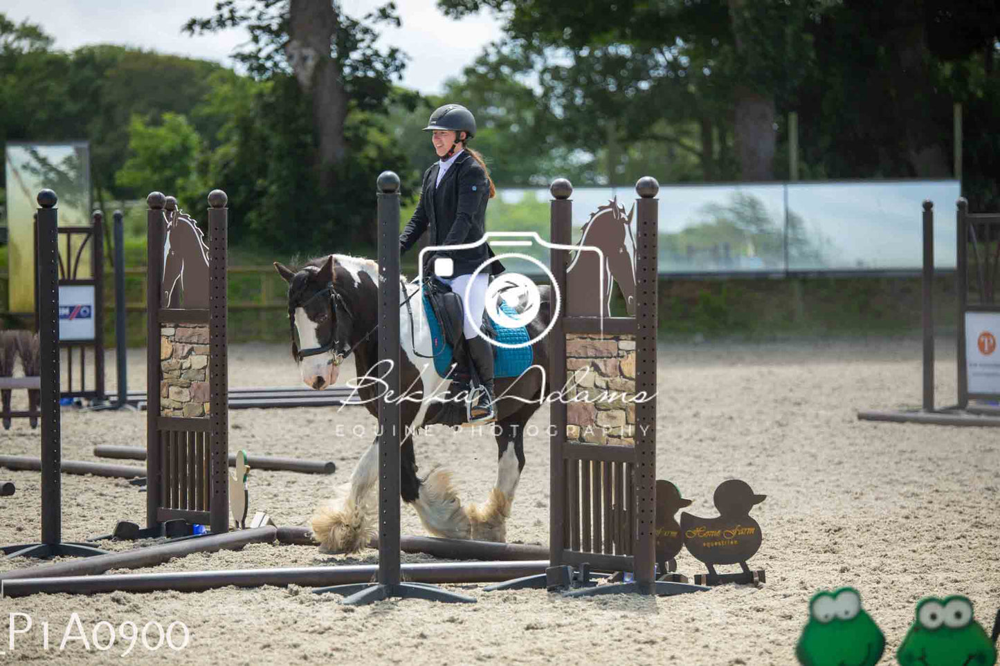 Home Farm Jumping 11th June - Seniors