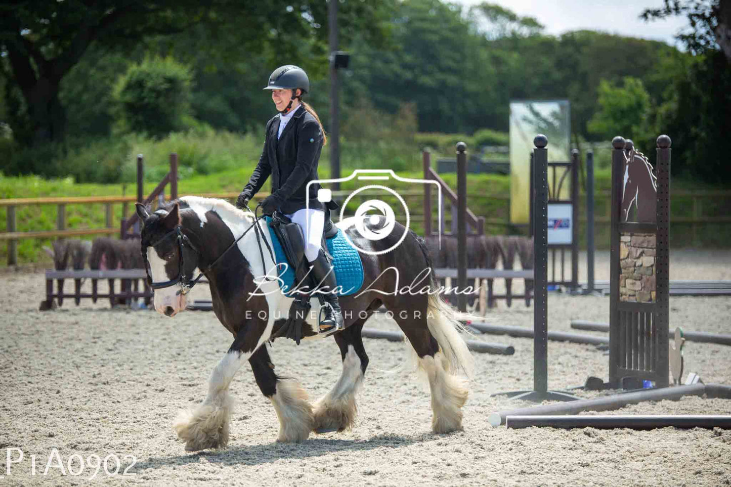 Home Farm Jumping 11th June - Seniors